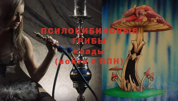 a pvp Инсар
